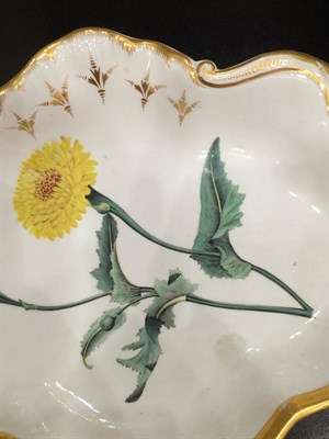 Lot 63 - A Chamberlains Worcester Porcelain Meat Platter, en suite with the previous lot, painted with...