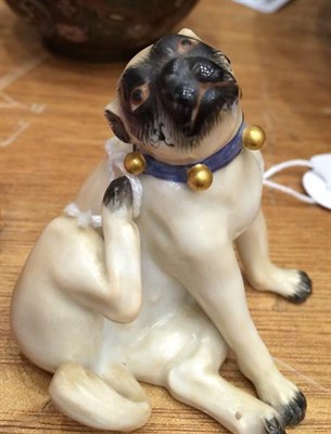 Lot 114 - A Pair of Meissen Porcelain Small Figures of Pugs, 20th century, one seated scratching its ear, the