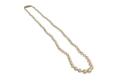 Lot 124 - A graduated single row cultured pearl necklace, length 56cm