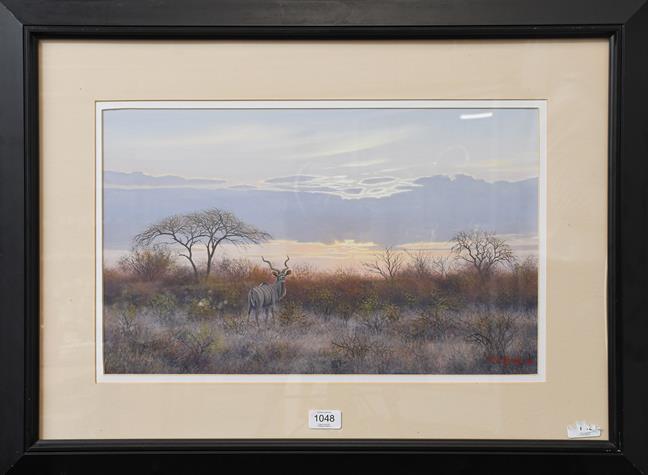 Lot 1048 - Wim Kosch (Contemporary) South African, Kudu, Signed and dated (19)96, oil on board, 31cm by...
