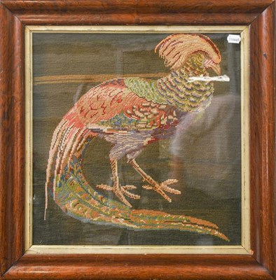 Lot 1059 - Two woolwork tapestries, frames and glazed, a partridge and a golden pheasant, partridge 39cm...
