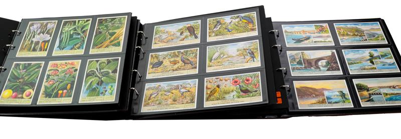 Lot 3175 - Leibig And Other Trade Cards Various Sets In Five Display Albums