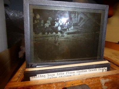 Lot 432 - A collection of magic lantern slides including various forestry scenes, a Thornton Pickard mahogany
