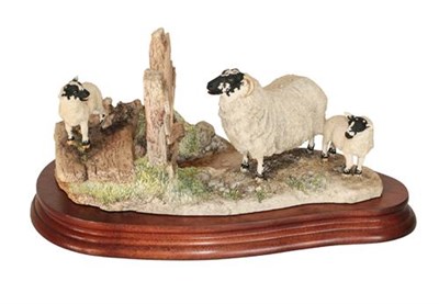 Lot 15 - *  Border Fine Arts 'Holding Her Ground' (Ewe, Lamb and Border Collie), model No. B0198 by Ray...