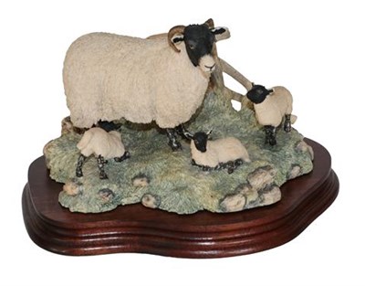 Lot 24 - *  Border Fine Arts Sheep Groups Comprising: 'Element of Surprise' (Collie and Sheep), model...