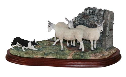 Lot 26 - *  Border Fine Arts 'Stand Off' (Border Collie and Sheep), model No. B0701 by Ray Ayres,...