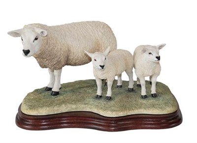 Lot 81 - Border Fine Arts 'Texel Ewe and Lambs' (Style Two), model No. B0658, limited edition 735/1500,...