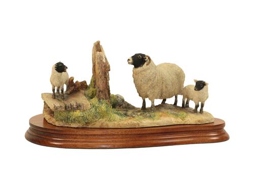 Lot 94 - Border Fine Arts 'Wrong Side of the Fence' (Ewe and Lamb), model No. JH100 by Anne Wall,...