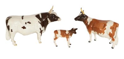 Lot 103 - Beswick Cattle Comprising: Ayrshire Bull Ch. 'Whitehill Mandate', model No. 1454B, Ayrshire Cow Ch.