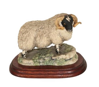 Lot 156 - Border Fine Arts 'On The Hill' (Shepherd, Sheep and Border Collie), model No. B0877 by Craig...