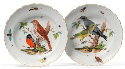 Lot 199 - A Pair of Marcolini Meissen Soup Plates, circa 1780, painted with birds in branches and with...