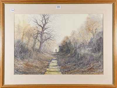 Lot 1040 - Michael Pybus (Contemporary) A walk though a woodland path, signed and date '92 watercolour 45cm by