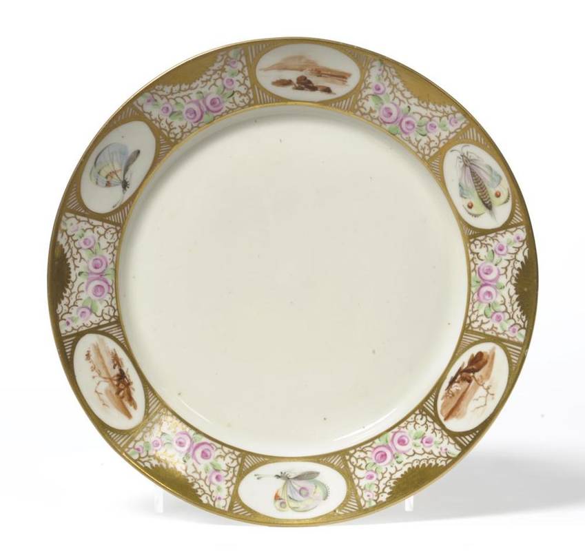Lot 115 - A Pinxton Porcelain Small Plate, circa 1800, painted in colours and gilt with a panel border...