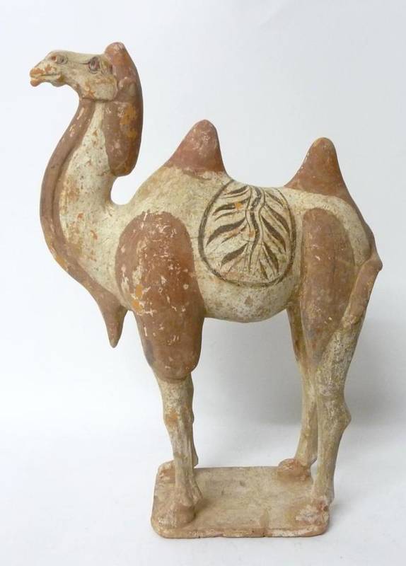 Lot 199 - A Chinese Terracotta Model of a Bactrian Camel, Tang type, standing on all fours with brown painted