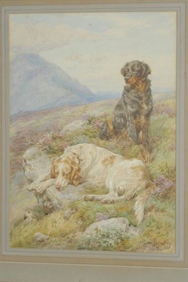 Lot 779 - Basil Bradley RWS (1842-1904) English and Gordon Setters seated amongst heather on a moor...