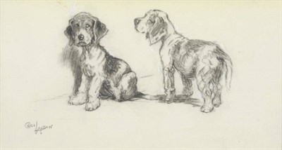 Lot 781 - Cecil Charles Windsor Aldin RBA (1870-1935) Study of two dogs Signed, pencil heightened with white