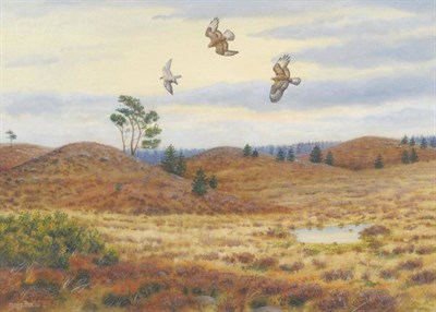 Lot 783 - Richard Robjent (b.1937)   "Peregrine Mobbed by Buzzards, Brora, Sutherland " Signed and dated...