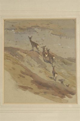 Lot 789 - Archibald Thorburn (1860-1935)  "Red Deer in the Reay Forest " Dated 12 May (18)96, inscribed...