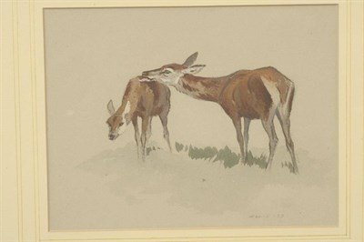 Lot 790 - Archibald Thorburn (1860-1935) Study of a Red Deer hind and her fawn Dated November 5 (18)97,...