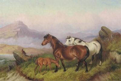 Lot 969 - Colin Graeme Roe (1855-1910) Ponies and a foal in a moorland landscape Signed and dated 1901,...