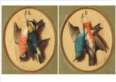 Lot 973 - Michelangelo Meucci (19th century) Italian Hanging songbirds; Hanging songbirds Both signed,...