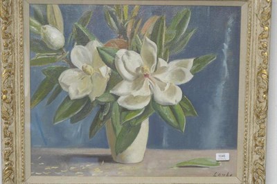 Lot 1046 - Philip Lambe (b.1961)  White Magnolia Signed, oil on canvas, 49cm by 59cm