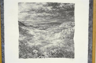 Lot 1105 - Margaret Uttley (b.1965)   "Warrendale Knotts " Signed, inscribed and dated (20)05, charcoal...