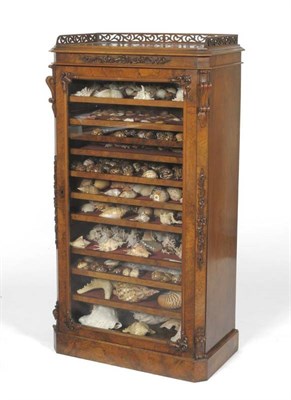 Lot 1541 - Conchology Interest: A Victorian Figured Walnut Wellington Display Cabinet, mid 19th century,...