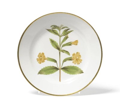 Lot 62 - A Swansea Porcelain Botanical Dessert Plate, circa 1820, painted in colours with Orange Monkey...