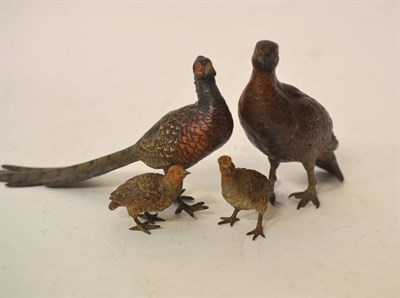 Lot 236 - An Austrian Cold Painted Bronze Model of a Red Grouse, by Bergman, early 20th century, in...