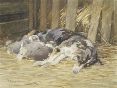 Lot 654 - John Murray Thompson RSA, RSW (1885-1974)  "Flossie - a Scots Collie and her Pups " Signed,...