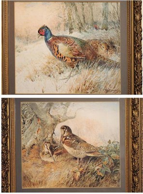 Lot 657 - William Woodhouse (1857-1939) Two woodcock nesting beside a tree; Pheasants in undergrowth Both...