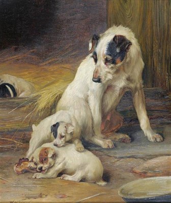 Lot 817 - William Henry Hamilton Trood (1860-1899) Jack Russell terrier with her pups beside a kennel...