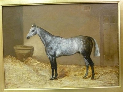 Lot 830 - S"¦Repper (19th century)  "Jerribaldis Peckser ", grey colt standing in a stable Inscribed and...