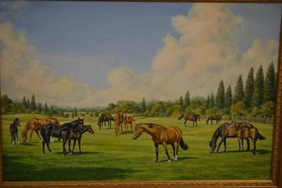 Lot 913 - Roy Miller (b.1938)  The mares  "Berganza ",  "Sweet Sauce ",  "Orarca ",  "Aureoletta ",...