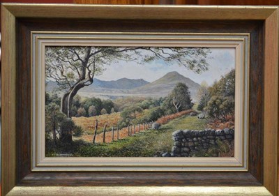 Lot 915 - Stephen Darbishire RBA (b.1940)  "The Old Road (Coniston Old Man), Road to the Mountains...