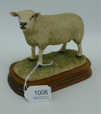 Lot 1006 - Border Fine Arts 'Texel Ram' style one, model No. L108 by Ray Ayres, limited edition No....