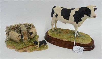 Lot 1020 - Border Fine Arts 'Holstein Bull', model No. BO308 by Kirsty Armstrong, limited edition No....