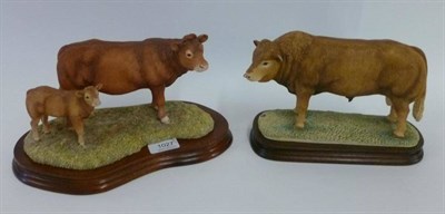 Lot 1027 - Border Fine Arts 'Limousin Bull' style one, model No. L32 by Anne Wall, limited edition No....