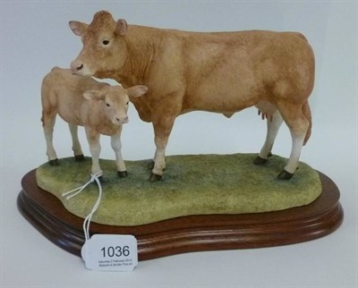 Lot 1036 - Border Fine Arts 'Blonde D'Aquitaine Cow and Calf', model No. BO353 by Kirsty Armstrong,...
