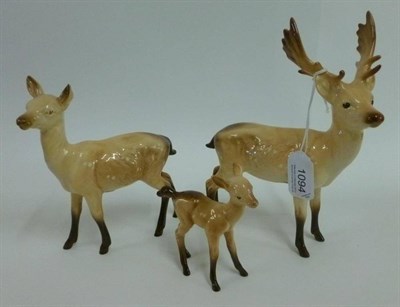Lot 1094 - Beswick Stag, Doe and Fawn, models 981, 999A and 1000B, all light fawn with shading, gloss (3)
