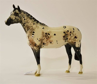 Lot 1143 - Beswick Appaloosa Stallion, model No. 1772, white with black and brown markings (second colourway)