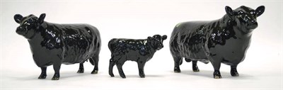 Lot 1016 - Beswick Cattle; Aberdeen Angus Bull, Cow and Calf, models 1562, 1563 and 1827A, all black gloss (3)