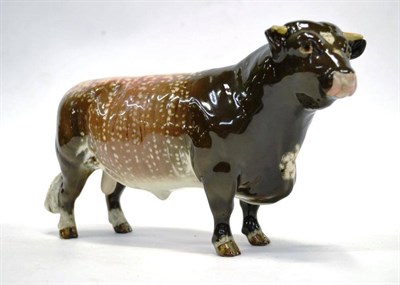 Lot 1030 - Beswick Dairy Shorthorn Bull, Ch. 'Gwersylt Lord Oxford 74th', model No. 1504, brown with cream...