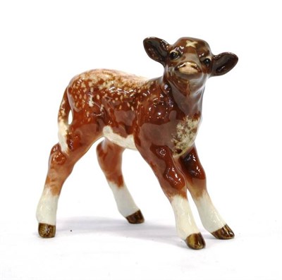 Lot 1032 - Beswick Dairy Shorthorn Calf, model No. 1406C, brown and white with shading, gloss