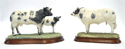 Lot 1055 - Border Fine Arts 'Belgian Blue Cow and Calf', model No. B0590 by Ray Ayres, 240/1250, on wood base