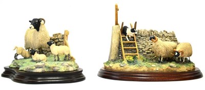Lot 1066 - Border Fine Arts 'Element of Surprise', model No. BO089 by Ray Ayres, on wood base; Swaledale...