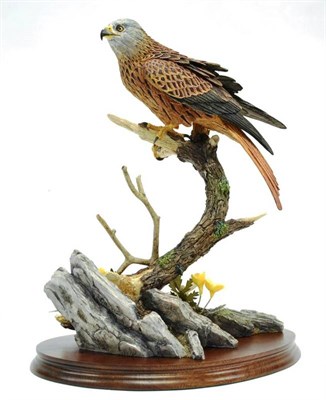 Lot 1091 - Border Fine Arts 'Red Kite', model No. B0794 by Richard Roberts, 324/600, on wood base, with...