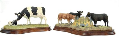 Lot 1103 - Border Fine Arts 'Winter Rations', B0581 by Kirsty Armstrong, on wood base; 'Holstein Friesian...