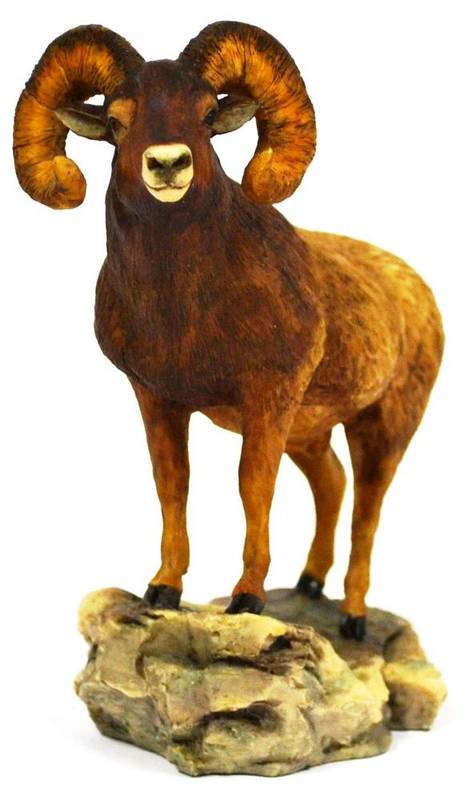 Lot 1012 - A Rare Border Fine Arts 'Big Horn' Ram, model No. unknown, by Anne Wall, ltd. edition 96/850
